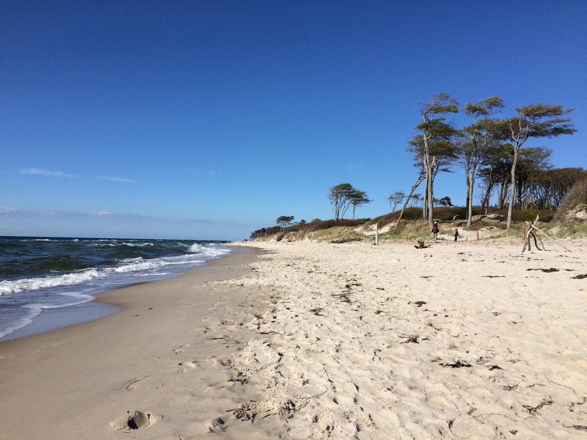 Ferienhaus Strandgut Zingst Dış mekan fotoğraf